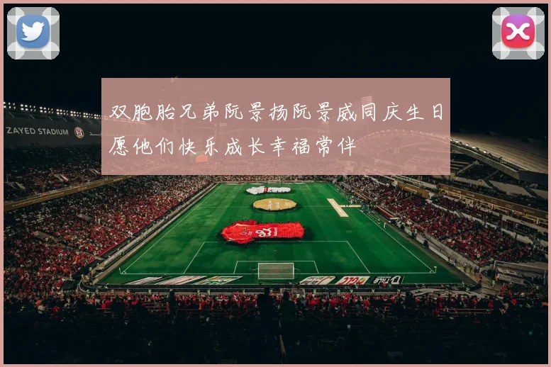 双胞胎兄弟阮景扬阮景威同庆生日愿他们快乐成长幸福常伴