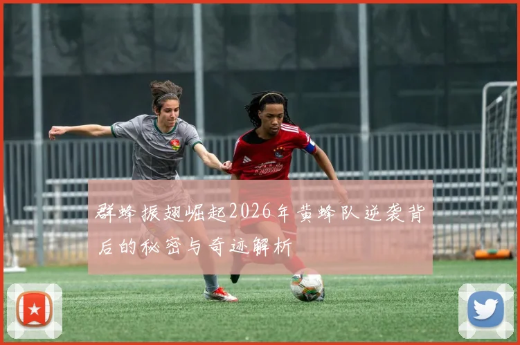 群蜂振翅崛起2026年黄蜂队逆袭背后的秘密与奇迹解析