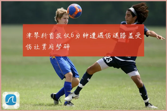津琴科首发仅6分钟遭遇伤退膝盖受伤让贾府梦碎