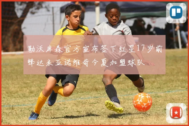 勒沃库森官方宣布签下红星17岁前锋达米亚诺维奇今夏加盟球队